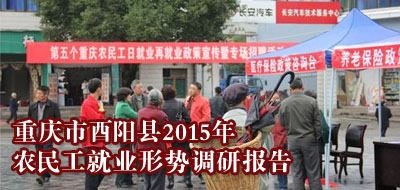 重庆市酉阳自治县2015年农民工就业形势调研报告
