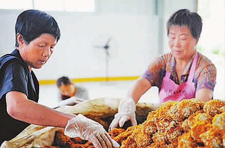 ����ʡ�����ؿ�����������������������