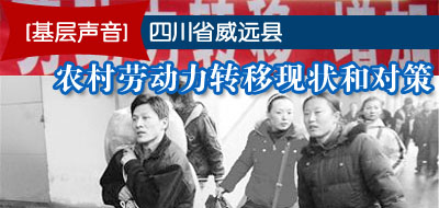 四川省威远县农村劳动力转移现状和对策