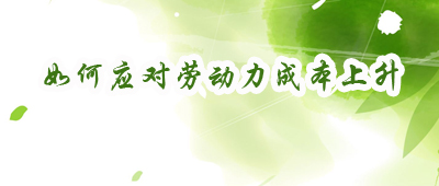 如何应对劳动力成本上升