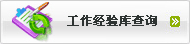 工作经验库查询