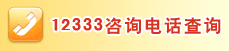 12333咨询电话查询