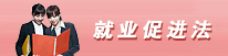 就业促进法