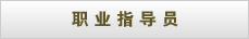职业指导员