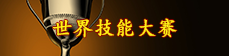 世界技能大赛