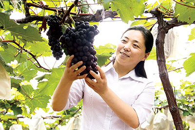 ��ʮ����ȫ���˴����������ʡ�����˲š�������������Ҷ�죺��ʯͷɽ�䡰�۱��衱